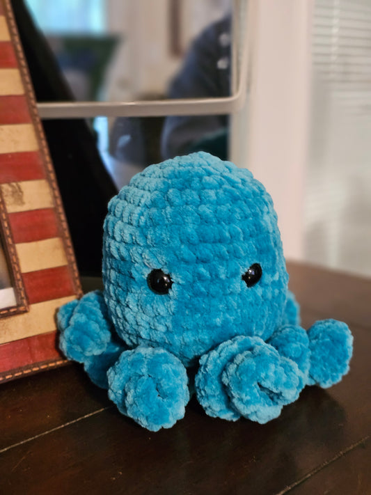 Baby Octopus